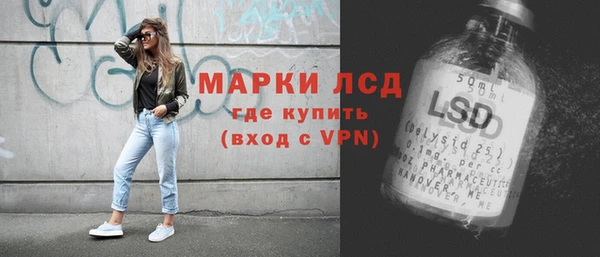 шишки Гусев