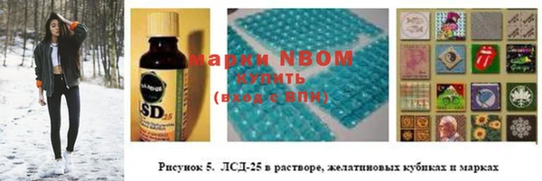 шишки Гусев