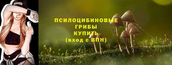шишки Гусев