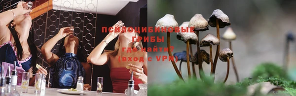 шишки Гусев