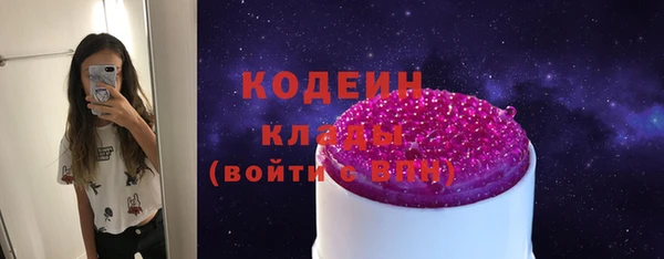 шишки Гусев