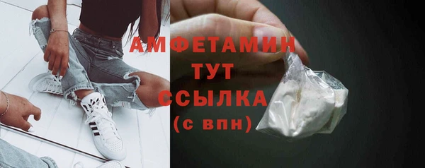 шишки Гусев