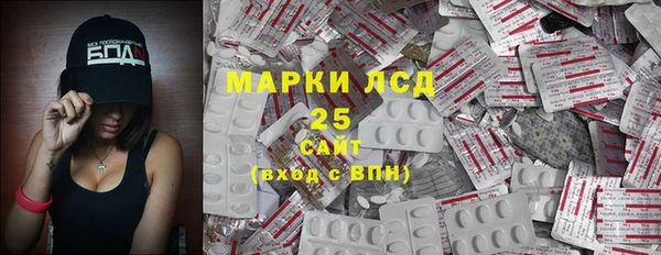 шишки Гусев