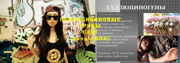 шишки Гусев