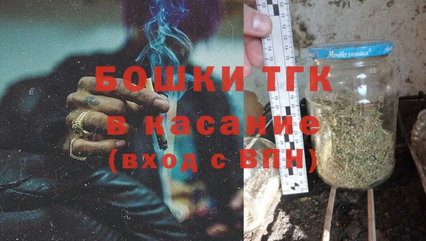 шишки Гусев